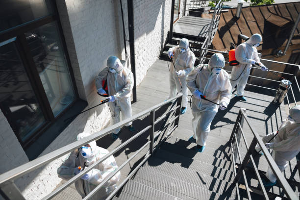 Best Mold Odor Removal Services  in Deadwood, SD
