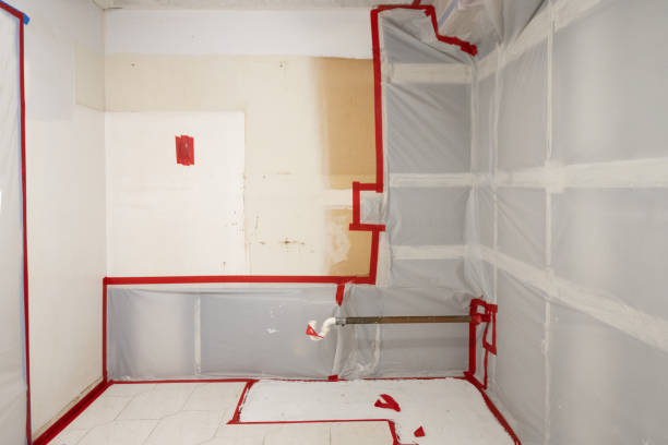 Best Crawl Space Mold Remediation  in Deadwood, SD