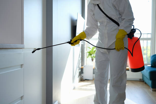 Best Mold Remediation for Healthcare Facilities  in Deadwood, SD