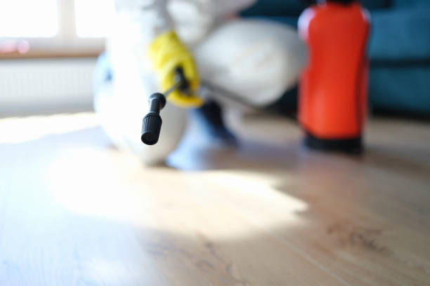 Mold Odor Removal Services in Deadwood, SD