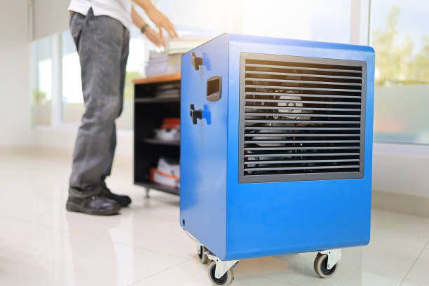 Best Industrial Mold Remediation  in Deadwood, SD