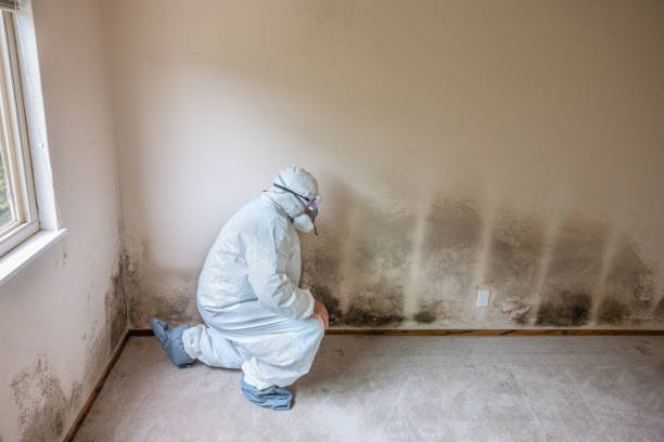 Best Real Estate Mold Inspection  in Deadwood, SD